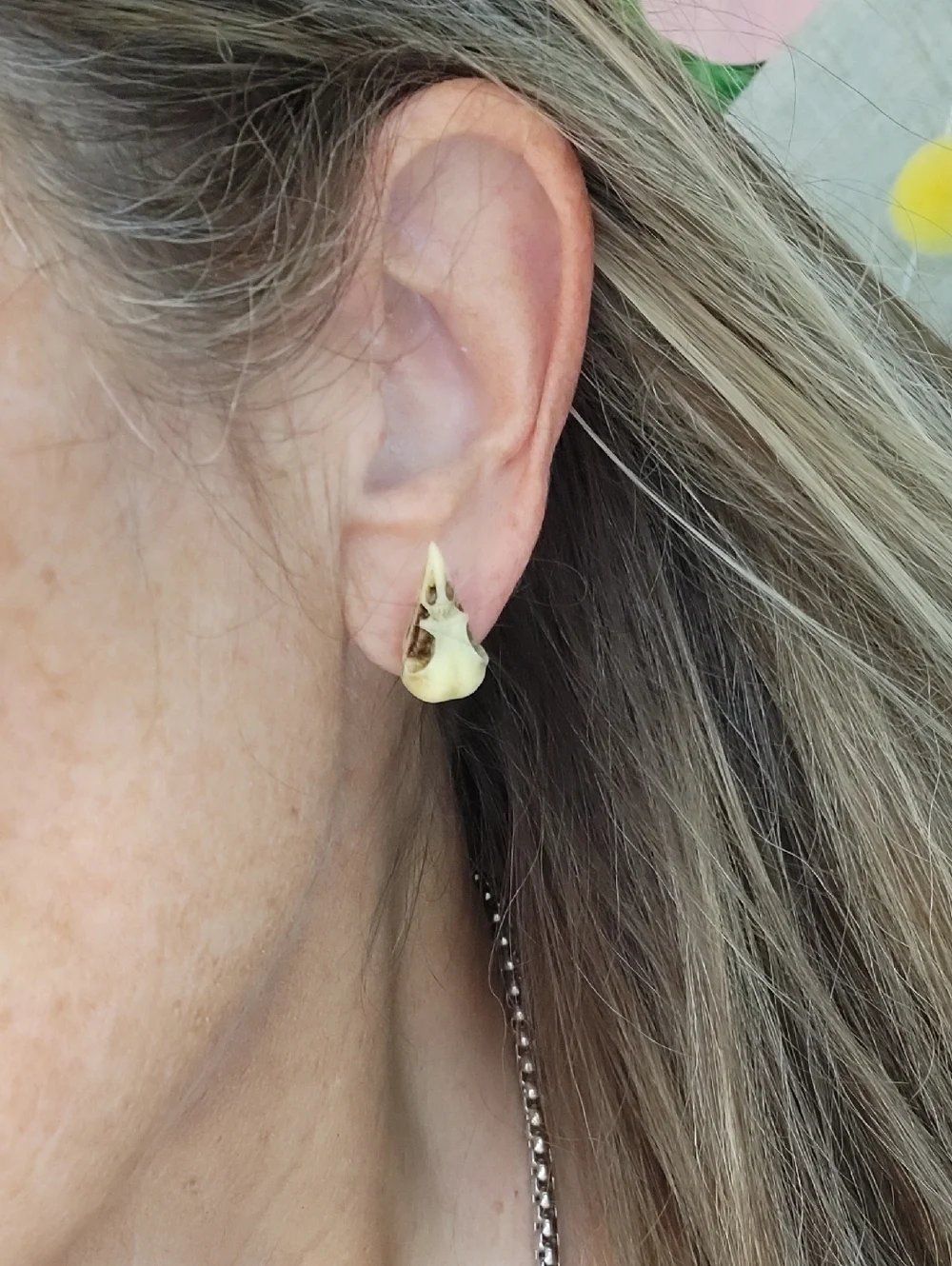 🔥LAST PAIR🔥 Realistic Poe Macabre Bird Skull Stud Earrings